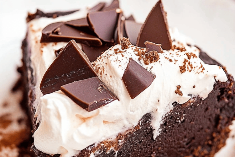 Mississippi mud pie